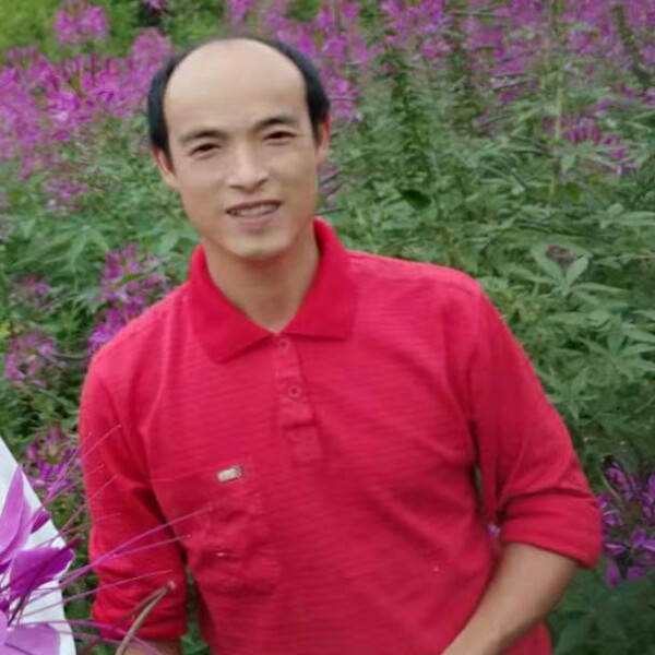 麦片幽默的照片