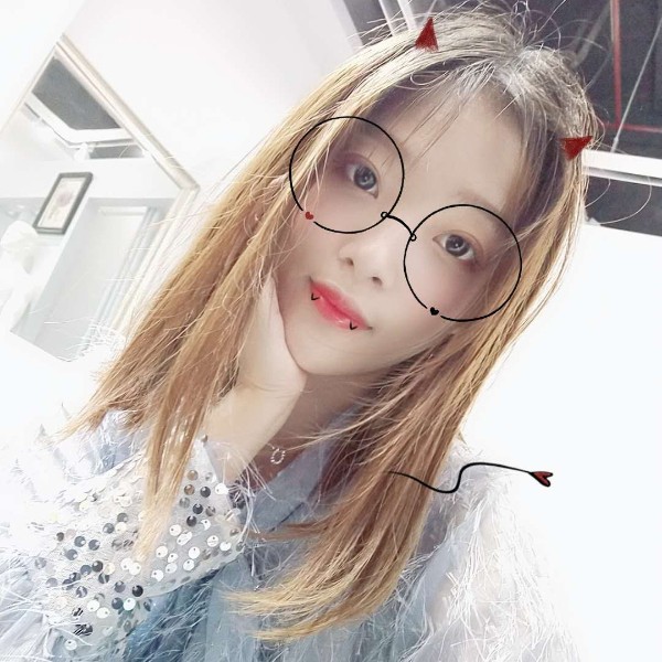 飞来一只燕子的照片