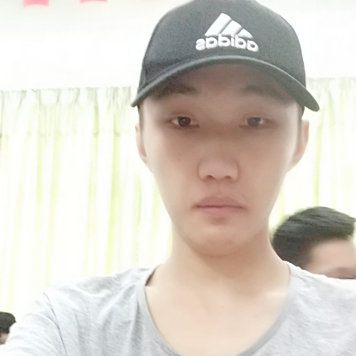 大雁的稳重的照片