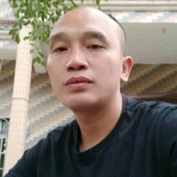 还单身向汽车的照片