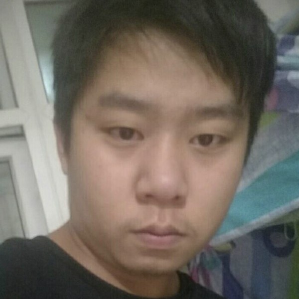自由苦恋玫瑰的照片
