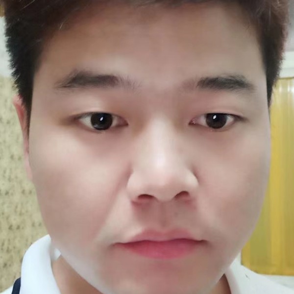 一网情深的马的照片