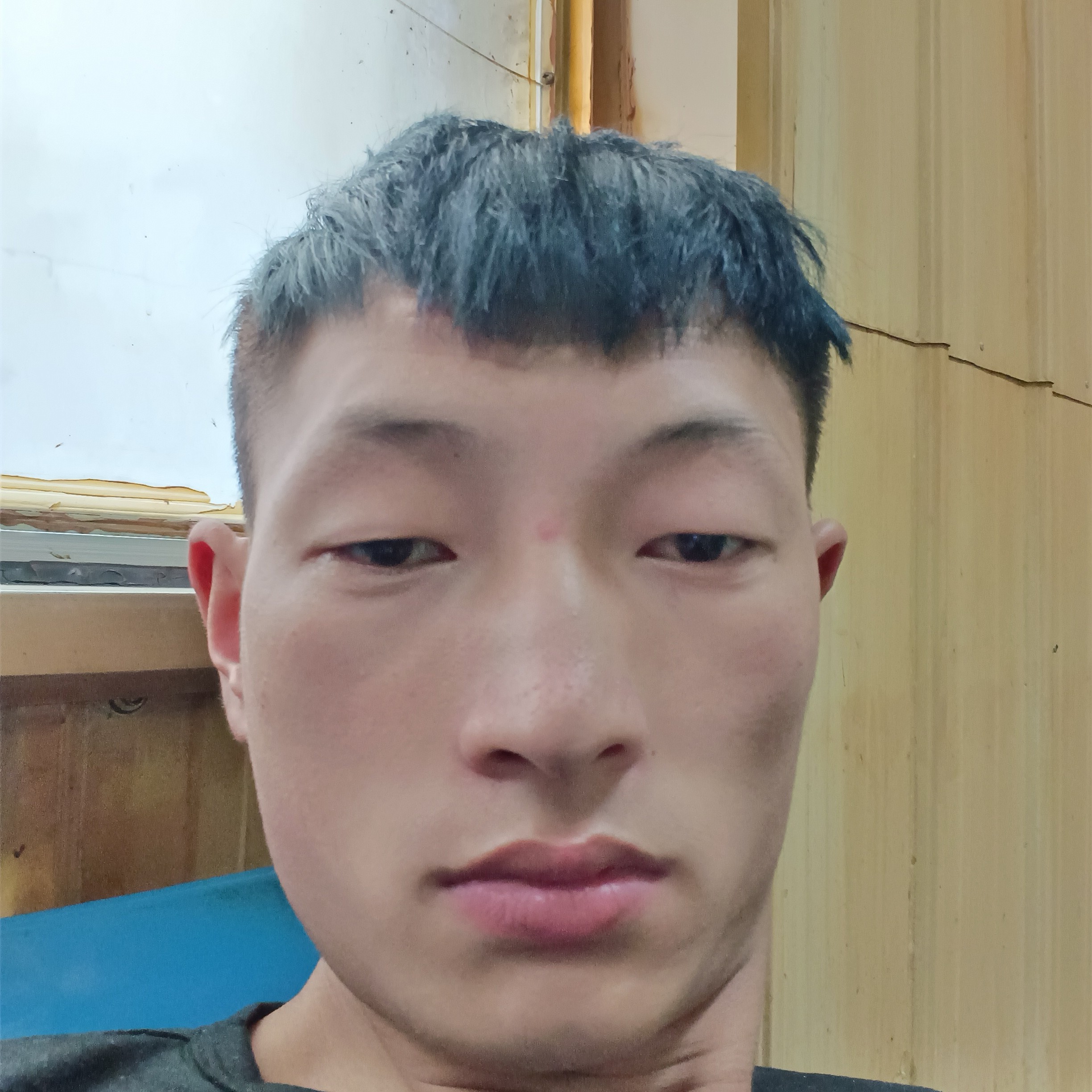雪糕邂逅调皮的照片