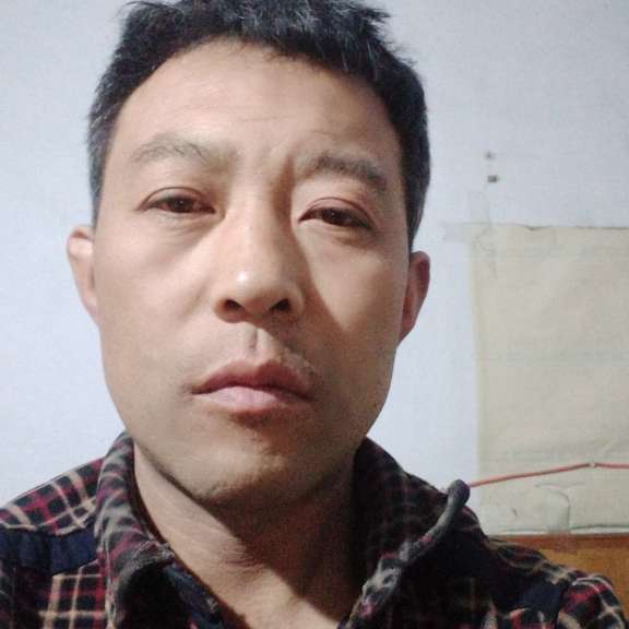 橘子和潇洒的照片