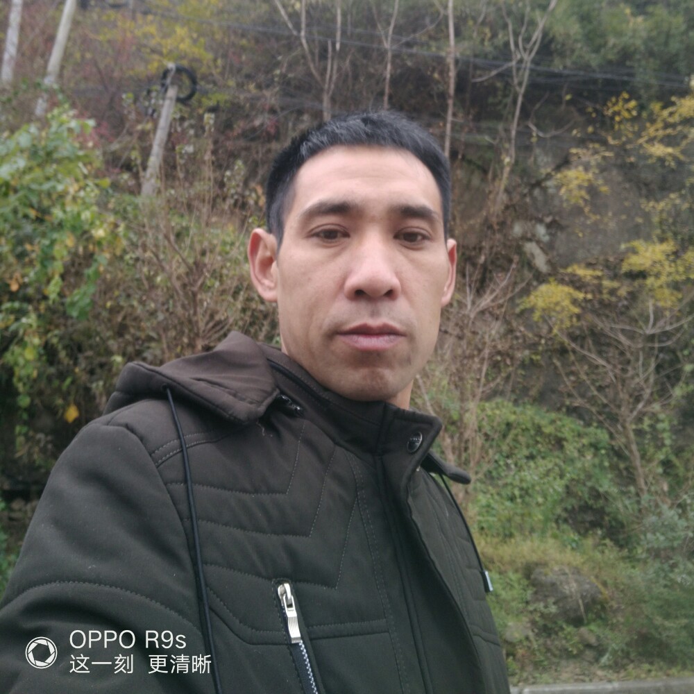 真心过日的照片