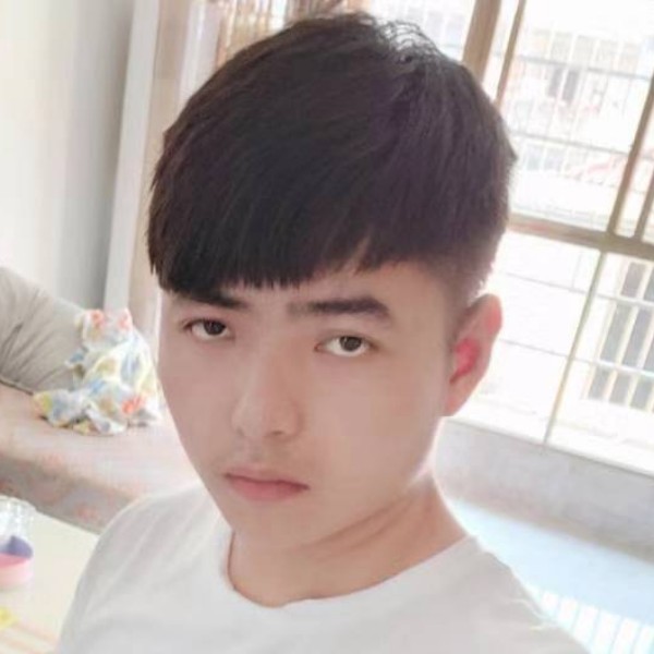 。。。，，，，的照片