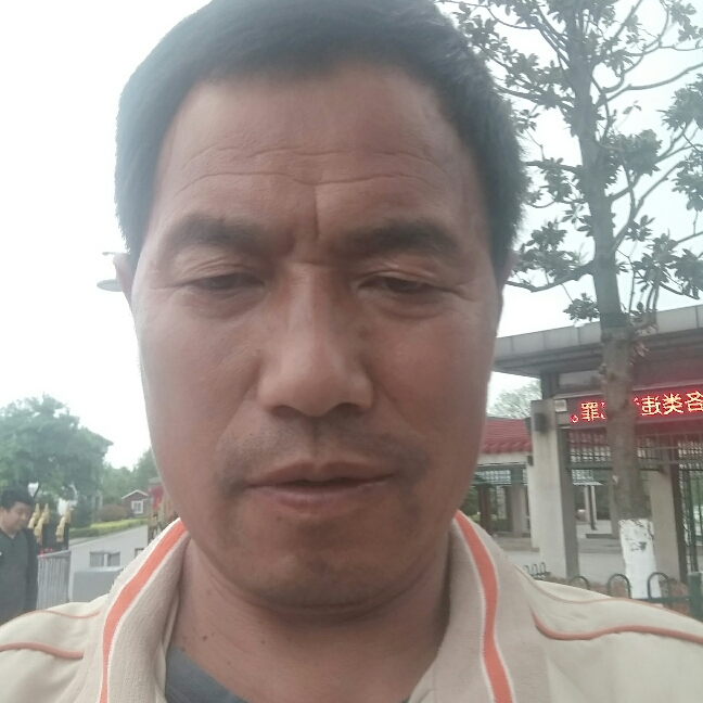 机缘巧遇的照片