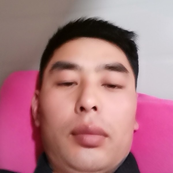 爱吃偷吃的猫的照片