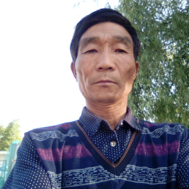 蓝莓爱恋长情的照片