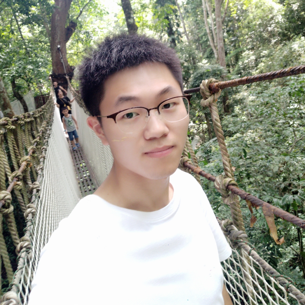 芝麻错落的照片