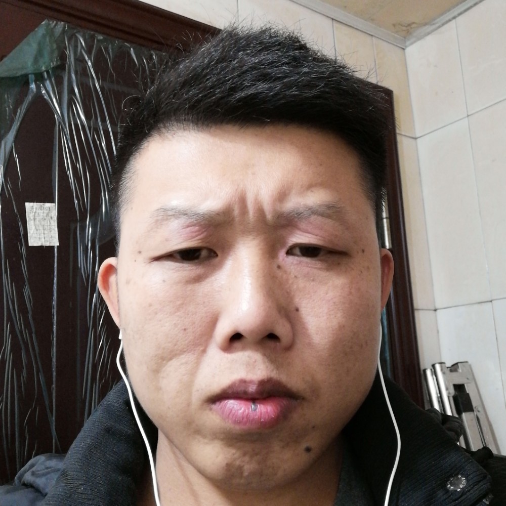 kiss斗牛的照片