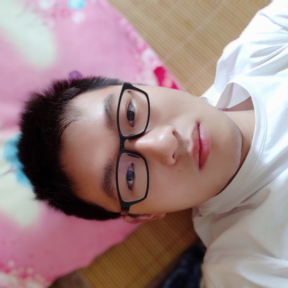 优美太阳的照片