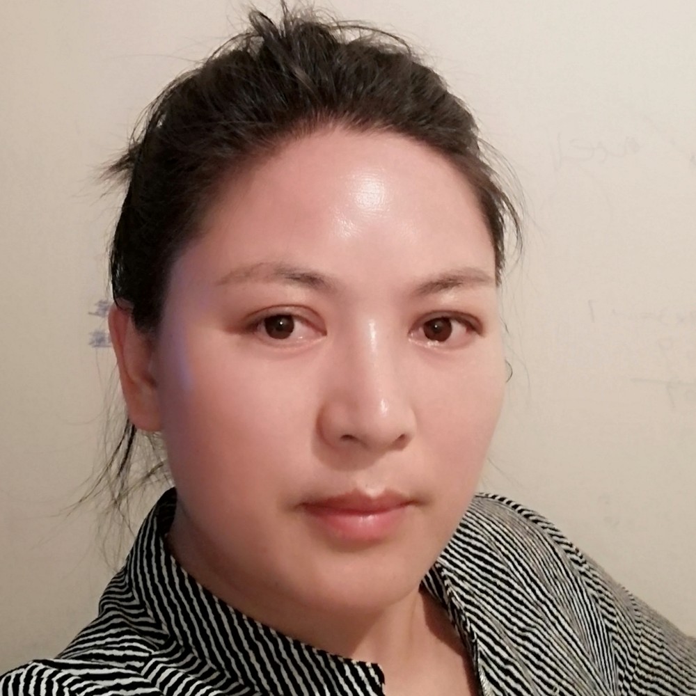 高贵纸鹤的照片