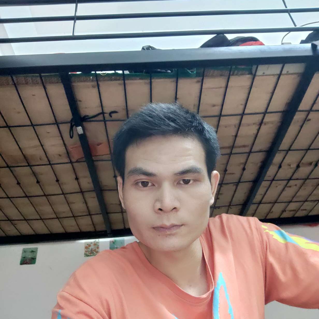 心情回眸苹果的照片