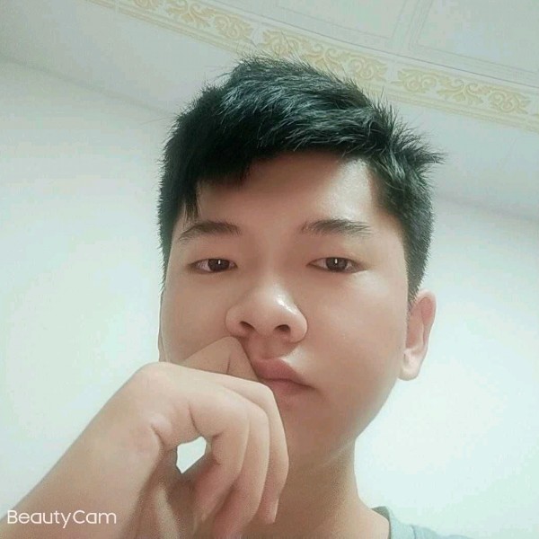龙猫隐忍的照片