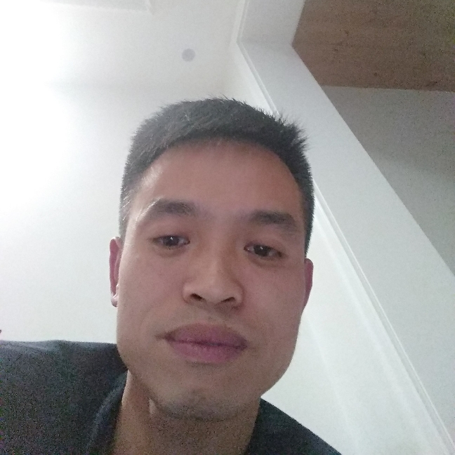 四叶草！的照片