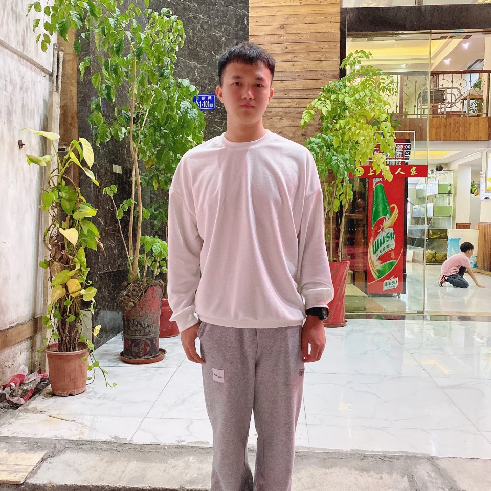 鲸鱼鲨鱼的照片