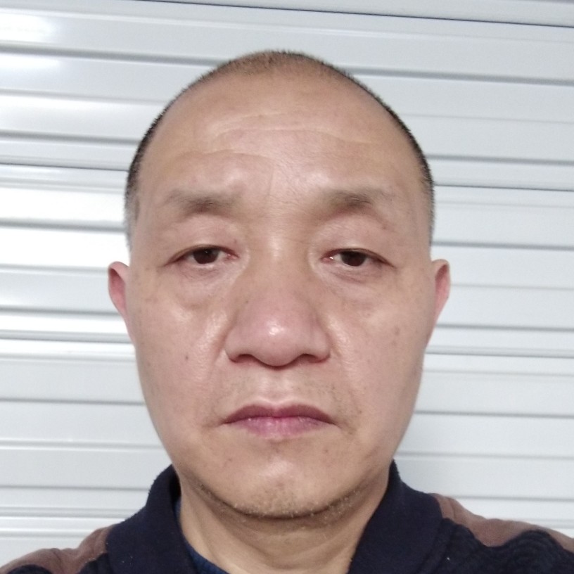 斑马糊涂的照片