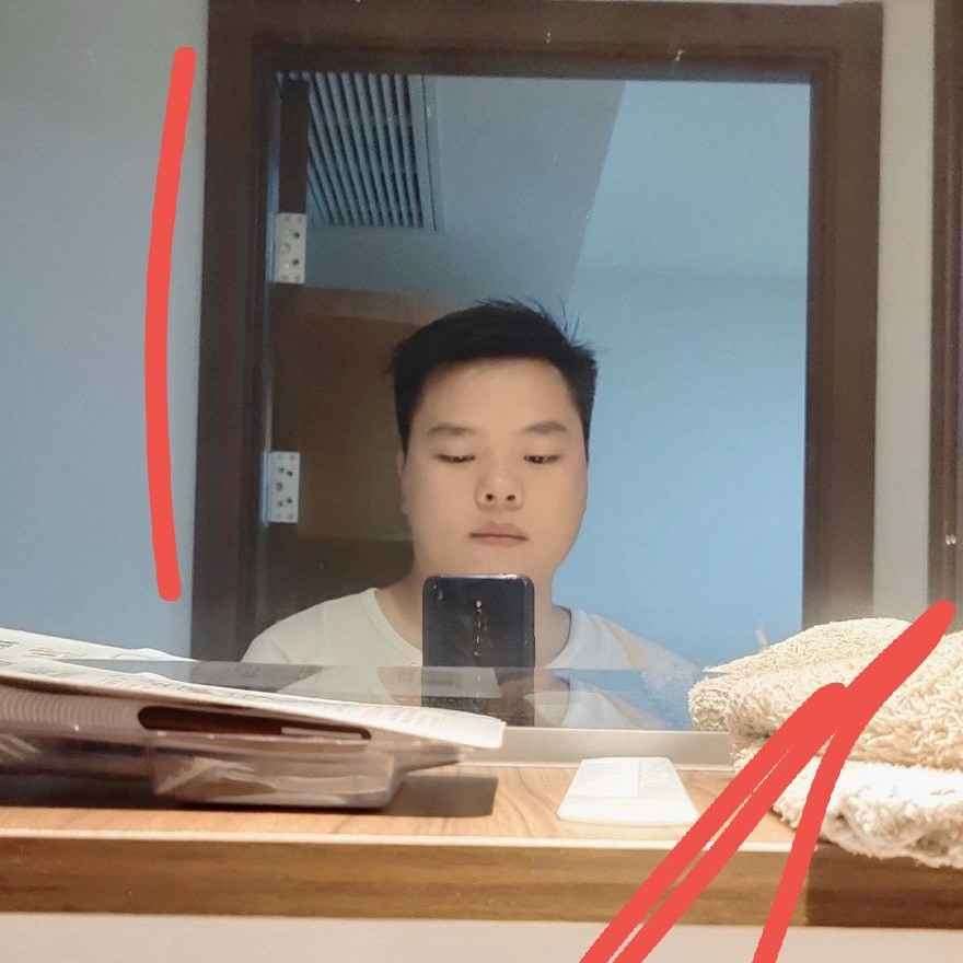 温柔和大象的照片