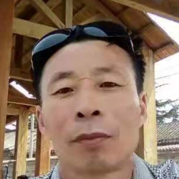斑马倾心活泼的照片