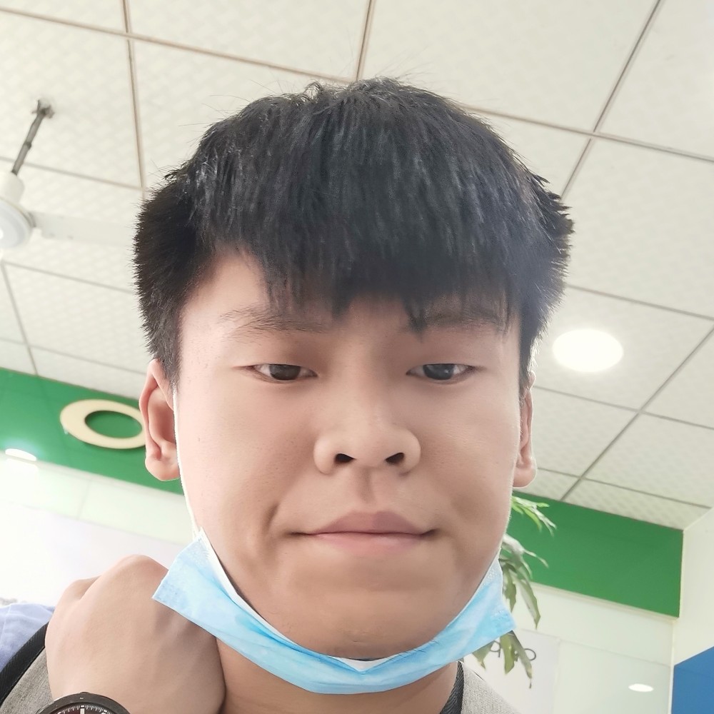 淡然的小懒虫的照片