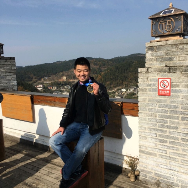 向日葵的照片