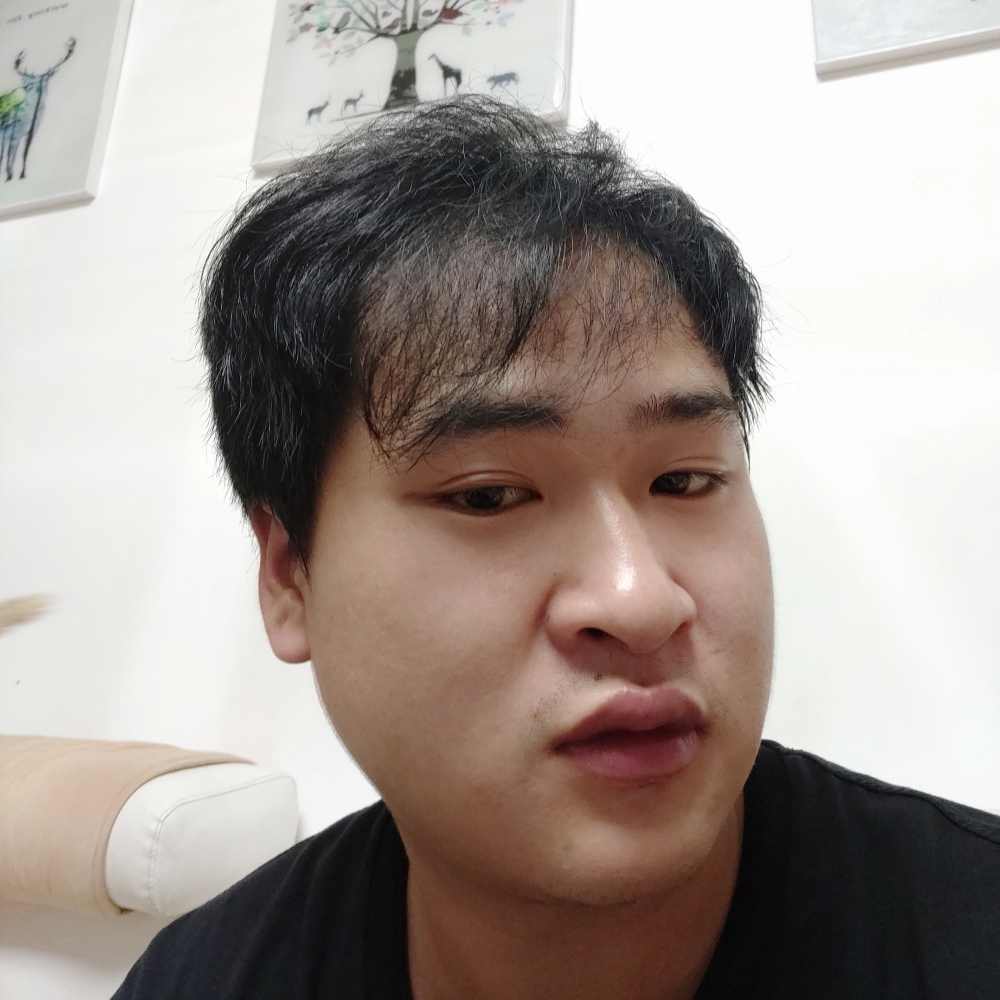 战斗机和机灵的照片