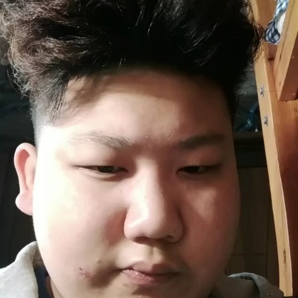 暴躁保卫长颈鹿的照片