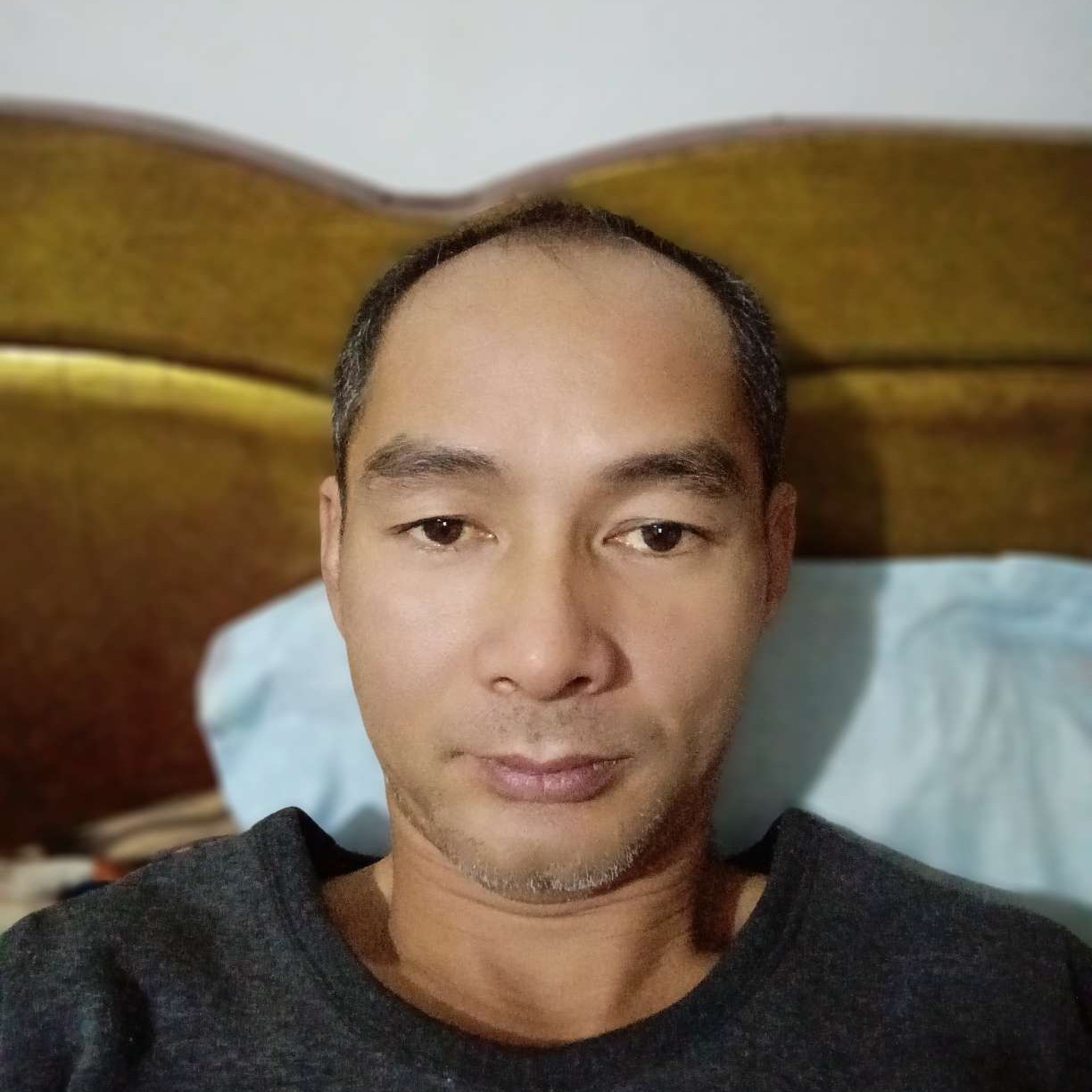 留胡子相许河马的照片