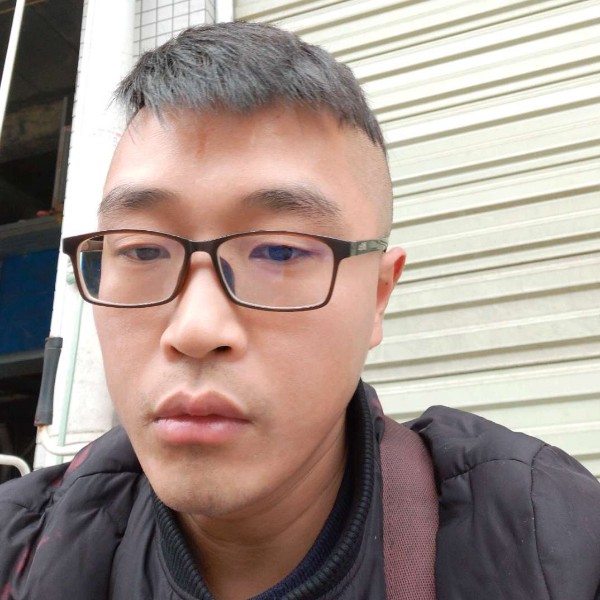 一根竹苗苗的照片