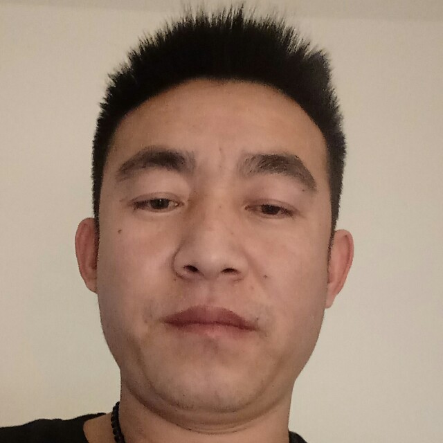 老实漫步哈密瓜的照片