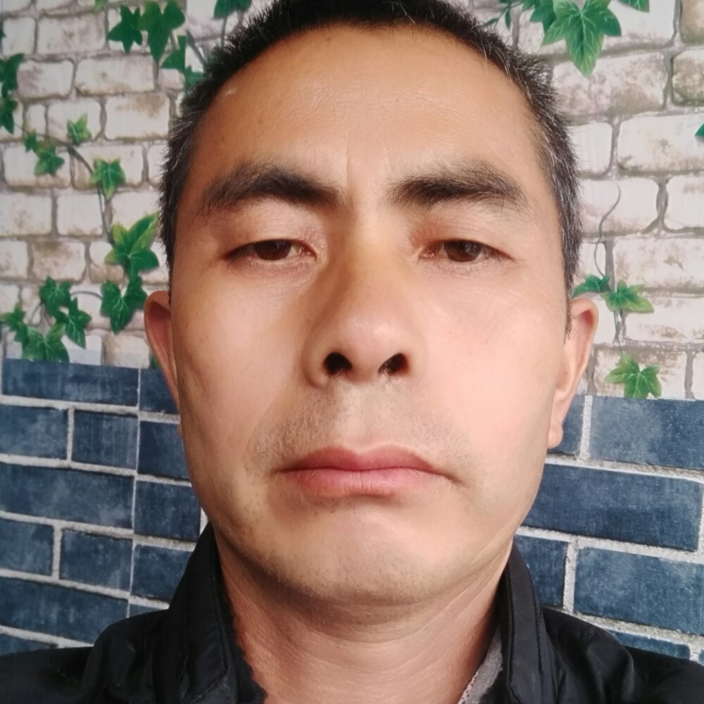 醉熏熏的小乖乖的照片