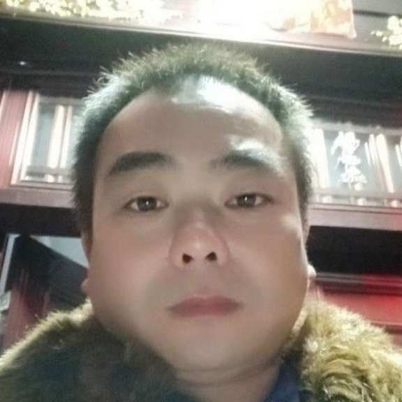 刺猬初见顶哥的照片