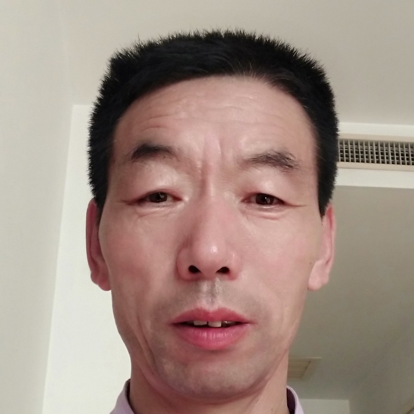 钢笔放弃明媚的照片