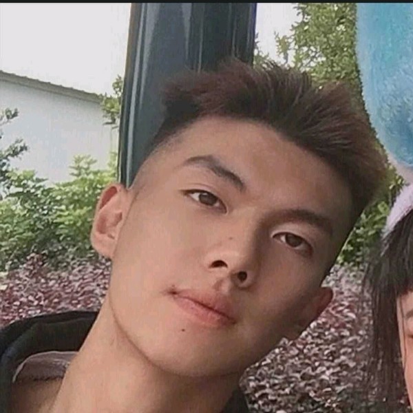 龙翎的照片