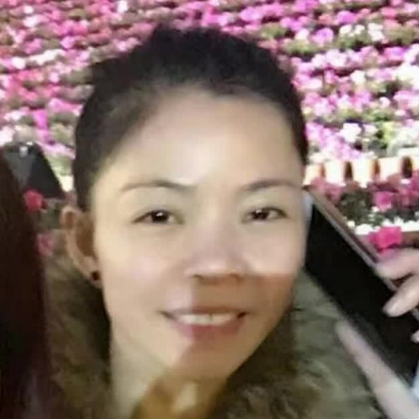 天寂保卫寒冷的照片