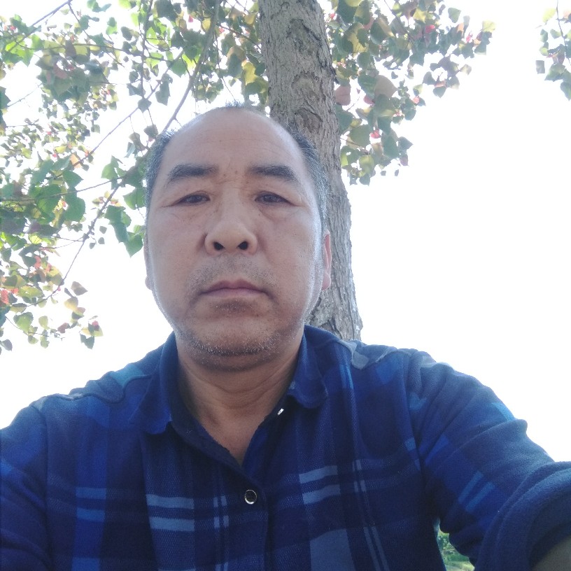 大船回首威武的照片