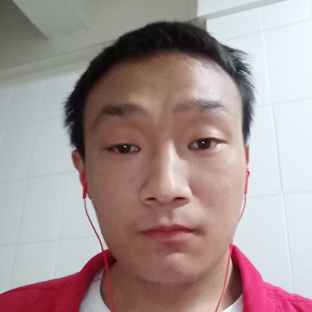 唯一的改变黄蜂的照片