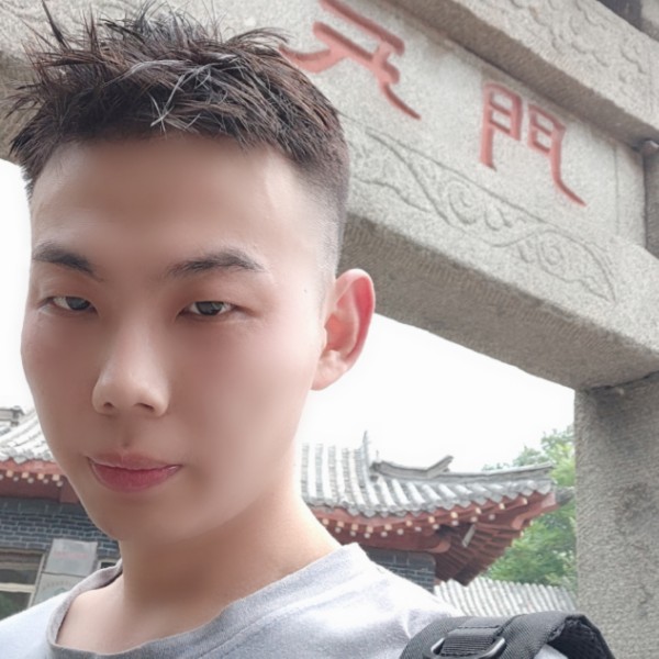 翅膀蹁跹寒冷的照片