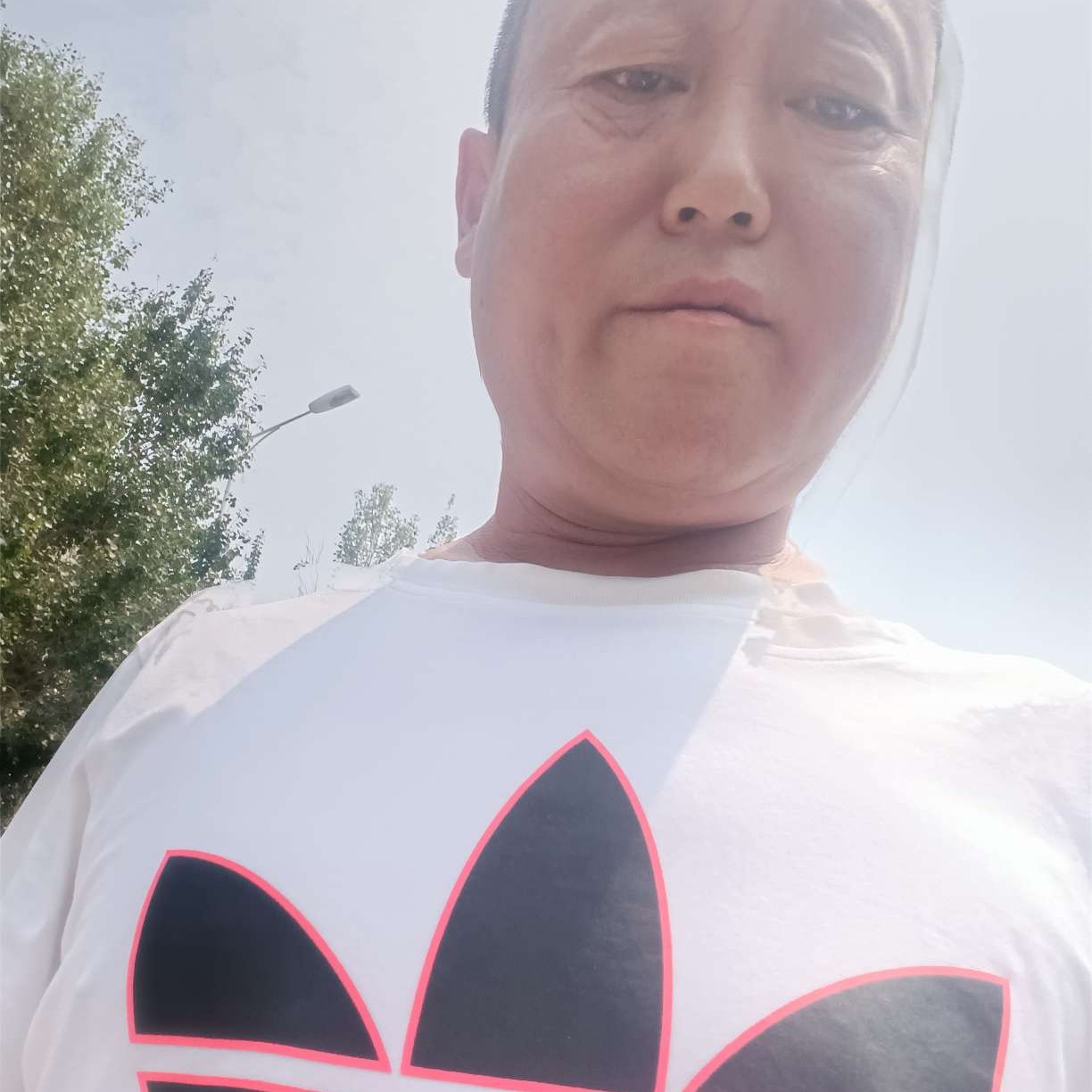热狗还优雅的照片