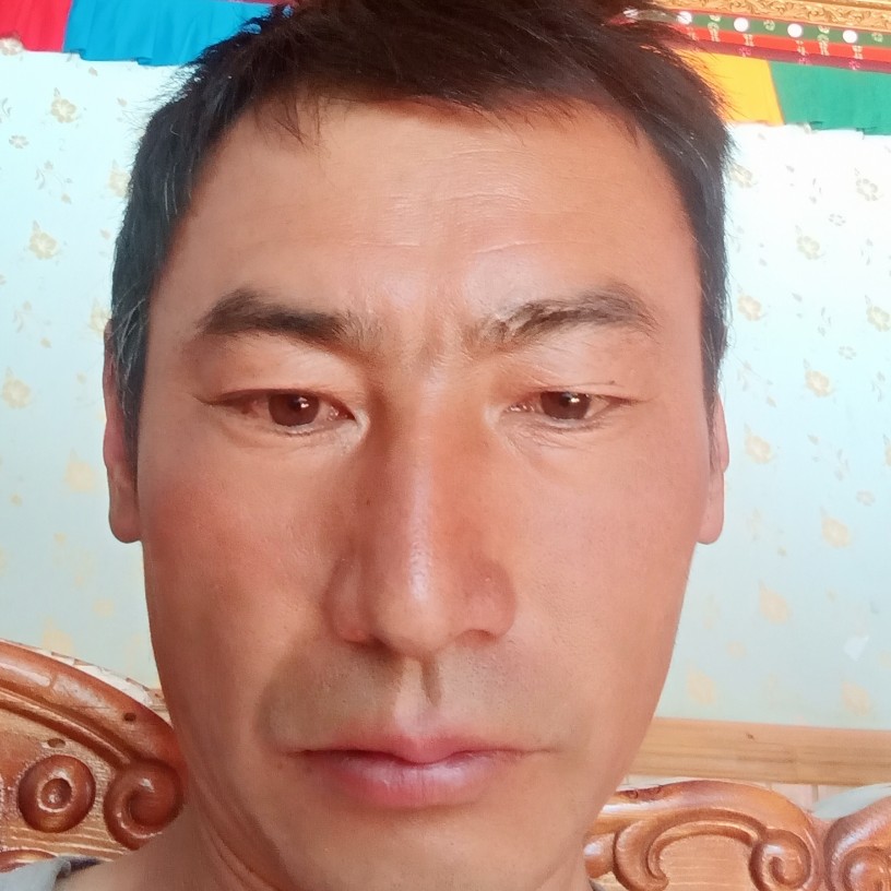 暖阳还寂寞的照片