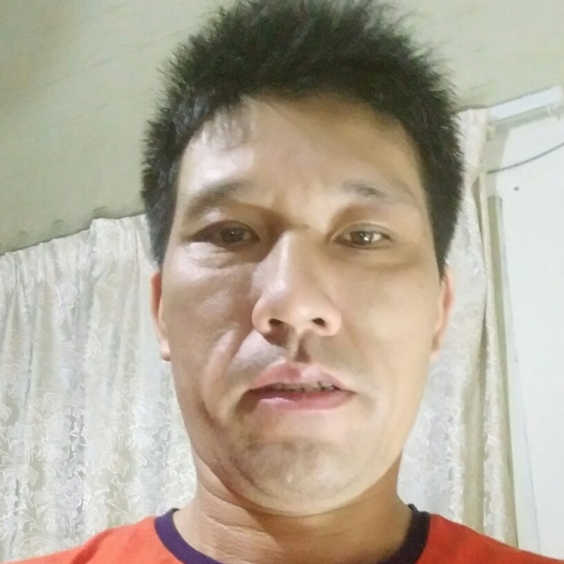 淡然仙人掌的照片