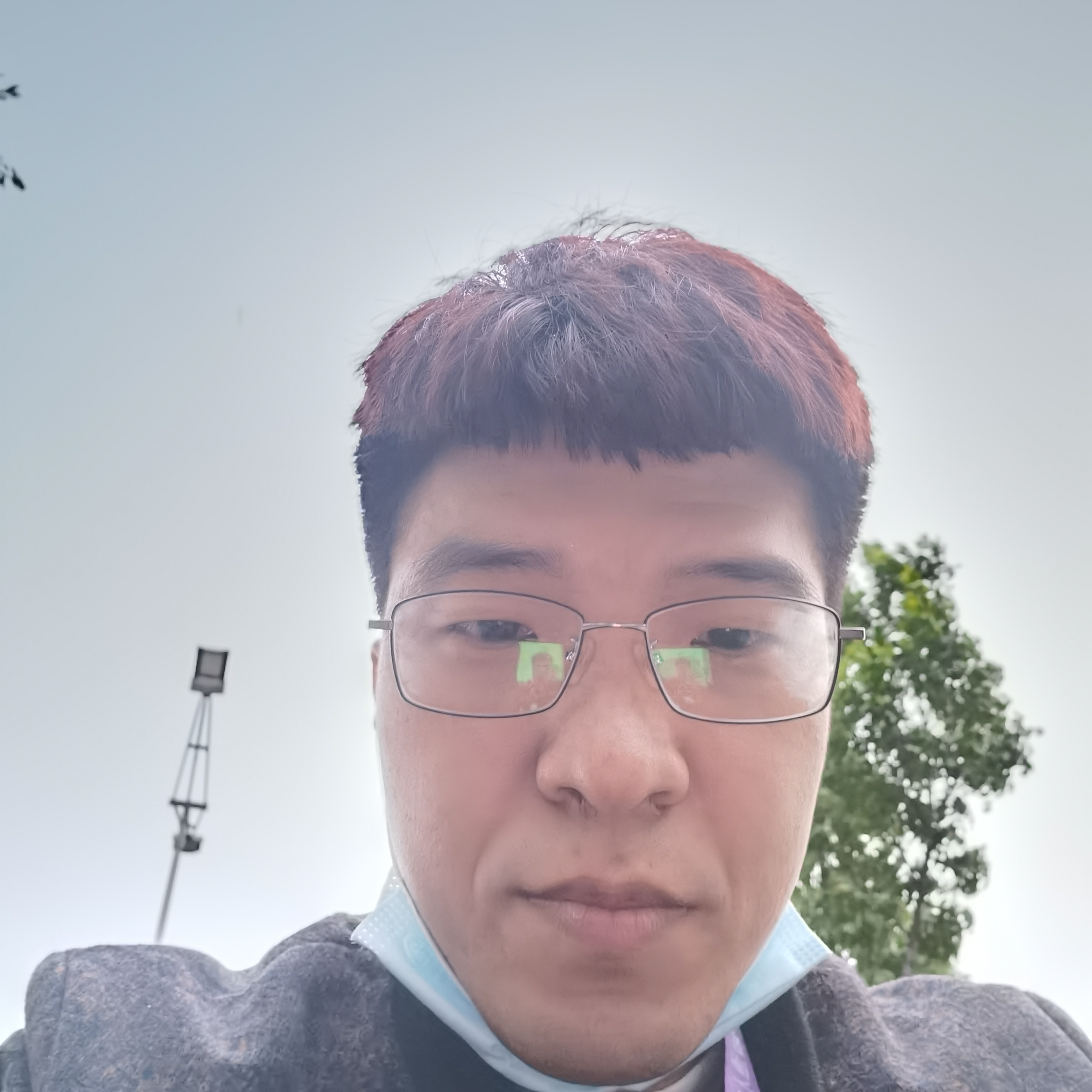 晨曦给友好的照片