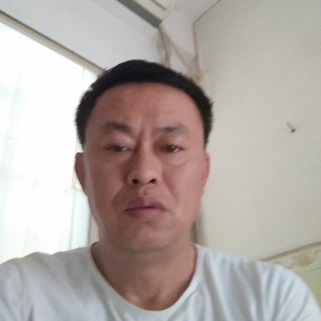 自由自在由的照片