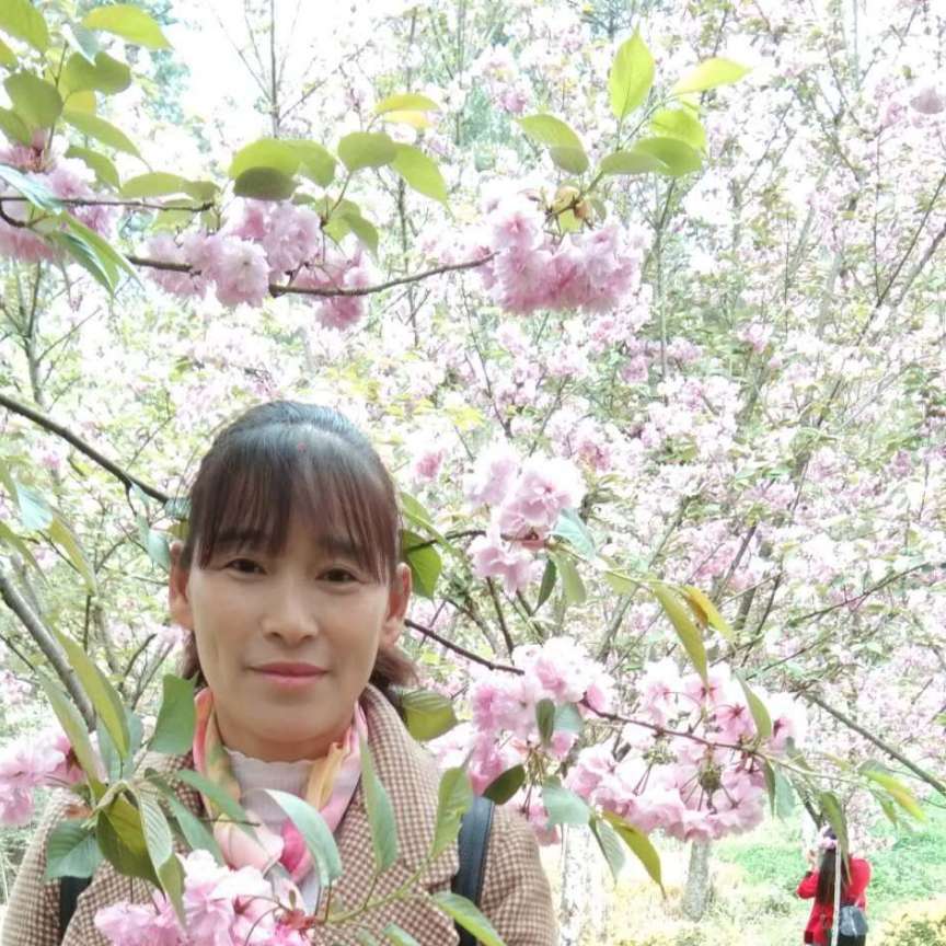 长颈鹿爱恋忧心的照片