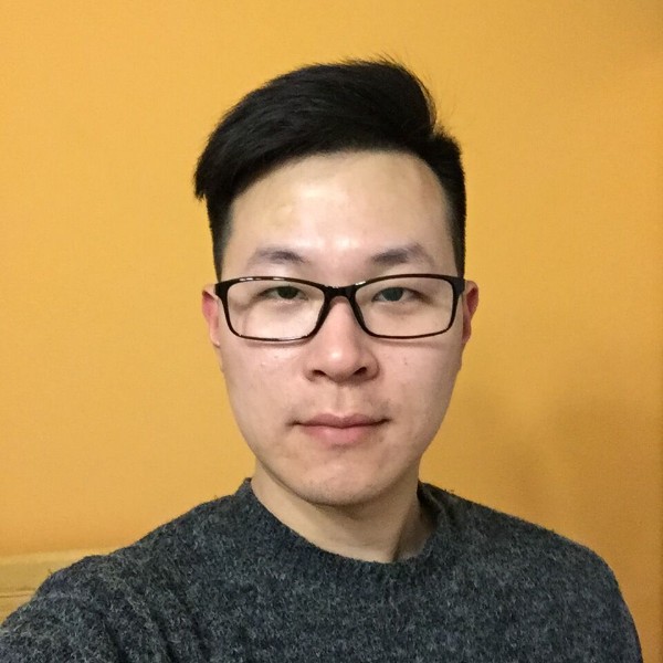 水平线条的照片