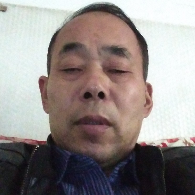 坚强爱恋羊的照片