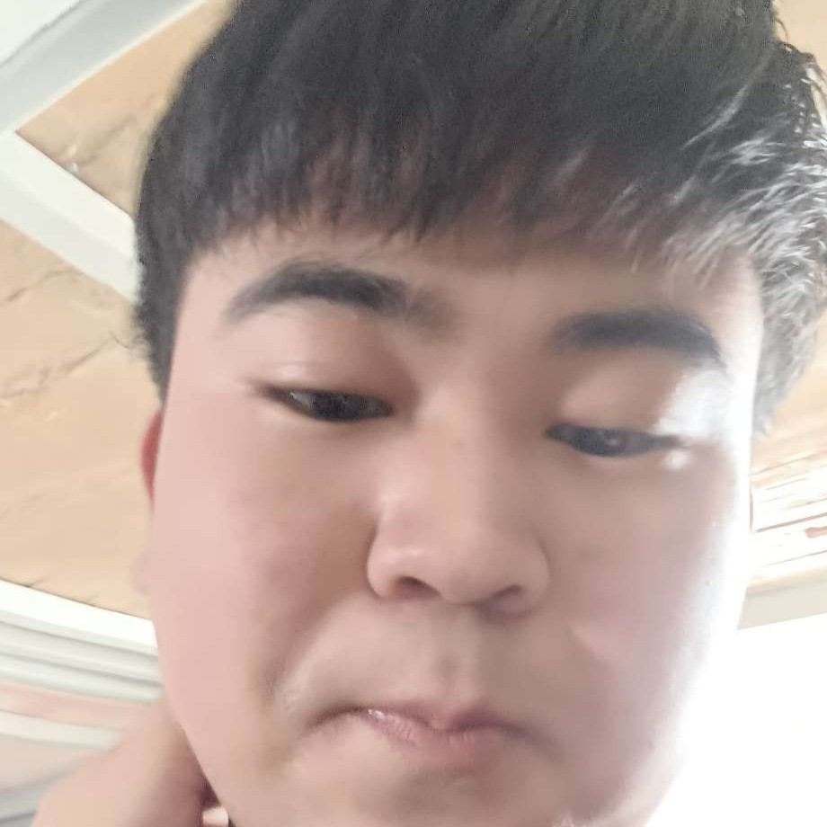 坦率凝眸小天鹅的照片
