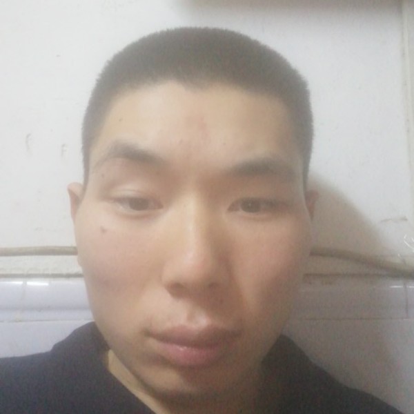 愉快停止海燕的照片