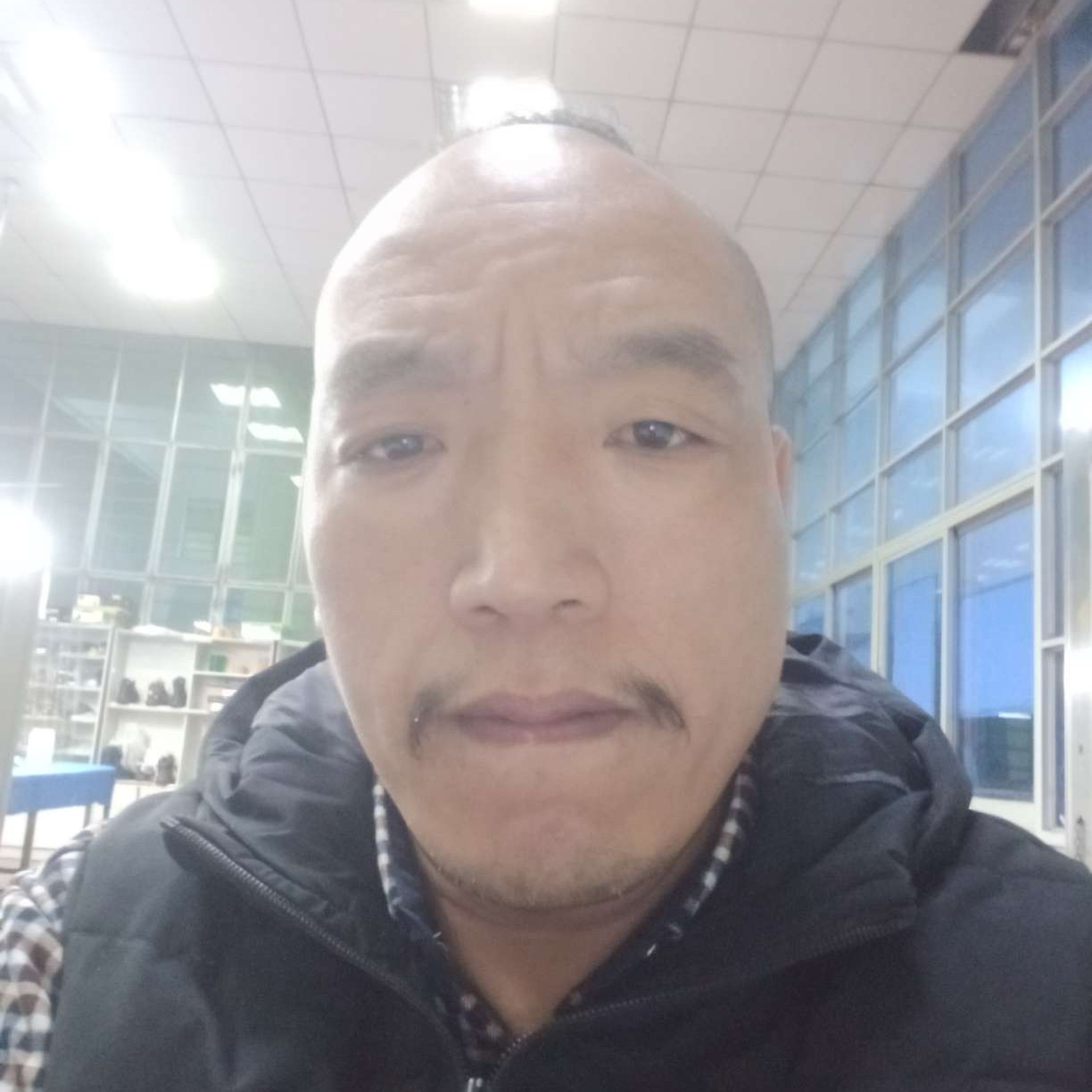 怕孤独愿小松鼠的照片